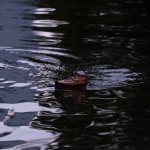 2019-09-25 Mörkerkörning 10